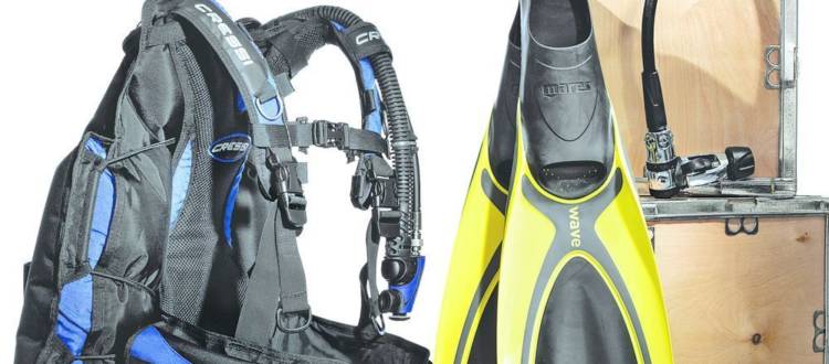 Must-Have Scuba Diving Gear: A Guide
