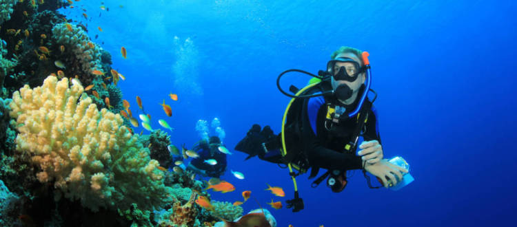 scuba diving certification levels