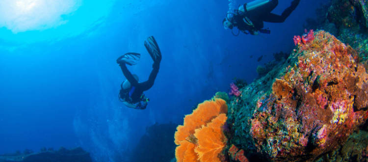 5 Reasons Red Sea Scuba Diving Should Be on Your Radar