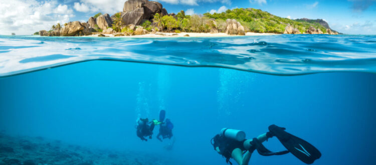 gear cleaning solutions