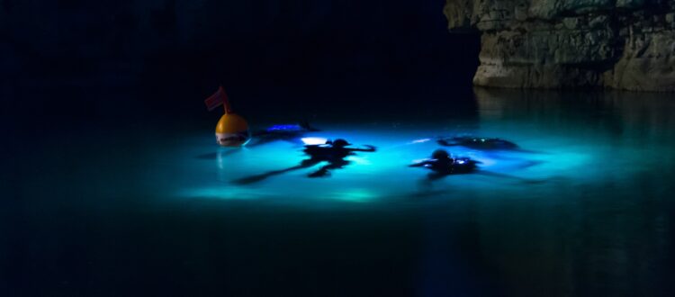 night scuba diving