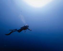 Scuba Diving In NJ
