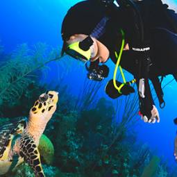 Advanced diver with turtle in NJ